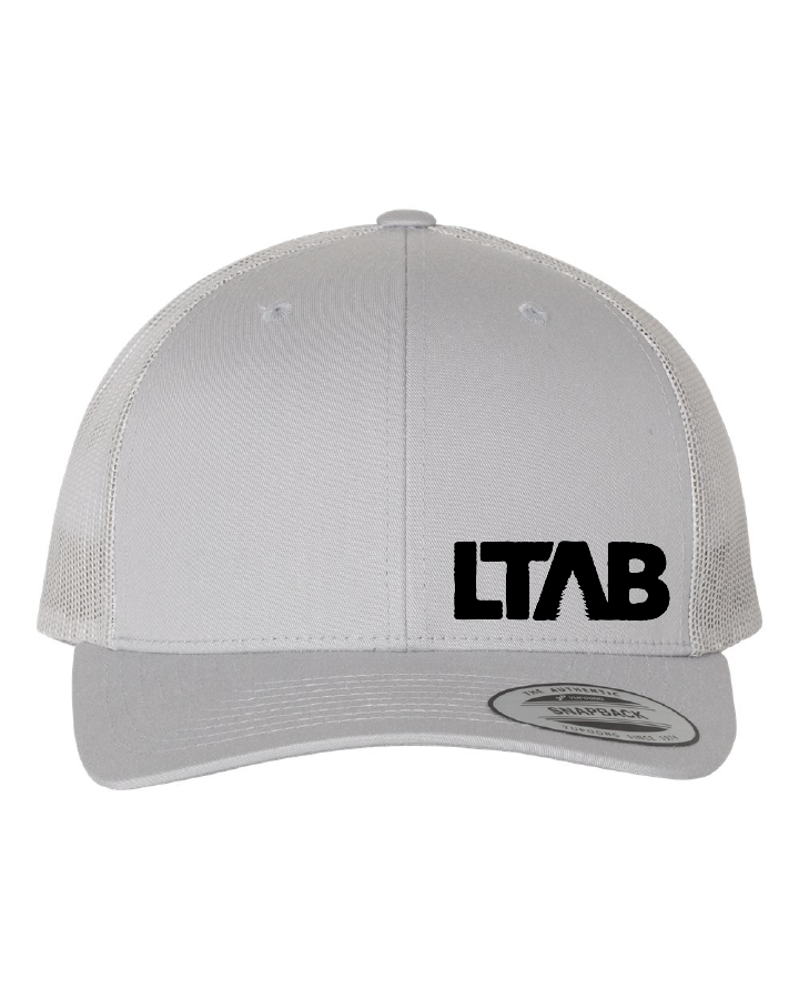 Silver Offset Hat