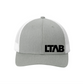 Grey & White LTAB Offset Hat